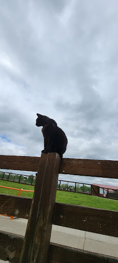 Farm «Goat Milk Stuff», reviews and photos, 76 S Lake Rd N, Scottsburg, IN 47170, USA