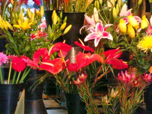 Florist «Mirage Florist», reviews and photos, 640 4th St, Santa Rosa, CA 95404, USA