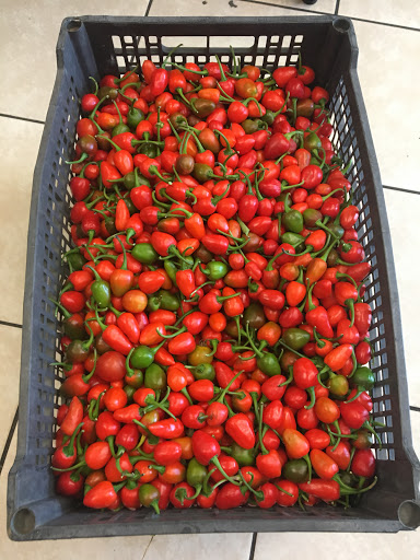 Asian Grocery Store «Image Grocery LLC», reviews and photos, 4669 Morse Centre Rd, Columbus, OH 43229, USA