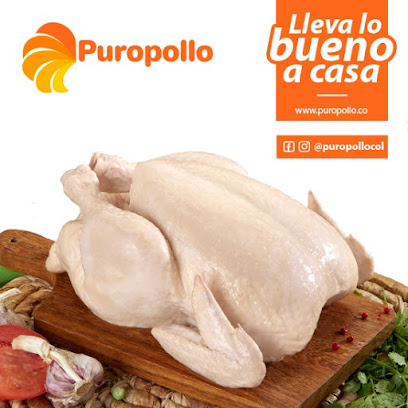 Puropollo