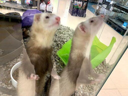 Pet Supply Store «Petco Animal Supplies», reviews and photos, 10511 S 15th St, Bellevue, NE 68123, USA