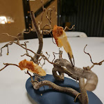 Photo n°5 de l'avis de Ostaria.� fait le 02/04/2022 à 14:11 sur le  Incàlmo Ristorante à Este