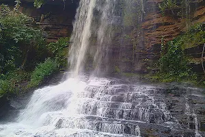 Bomfobiri Wildlife Sanctuary image