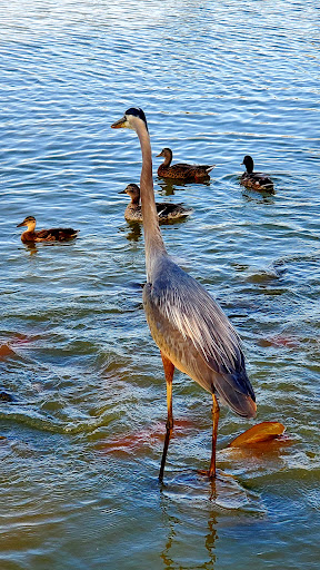 Golf Course «Waters Edge Mini Golf», reviews and photos, 230 N Ronks Rd, Bird in Hand, PA 17505, USA