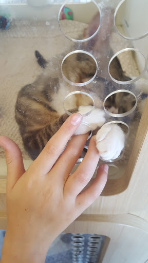 Pet Supply Store «Petco Animal Supplies», reviews and photos, 2722 N Josey Ln #107, Carrollton, TX 75007, USA