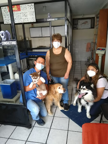 Opiniones de Clinica veterinaria huellitas en Quito - Veterinario