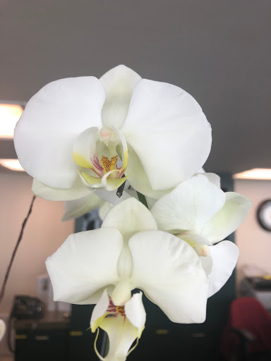 Florist «M B Floral Design», reviews and photos, 25351 Alicia Pkwy B, Laguna Hills, CA 92653, USA