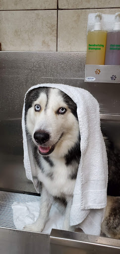 Pet Supply Store «Pet Supplies Plus», reviews and photos, 4100 Legacy Dr Suite 402, Plano, TX 75024, USA