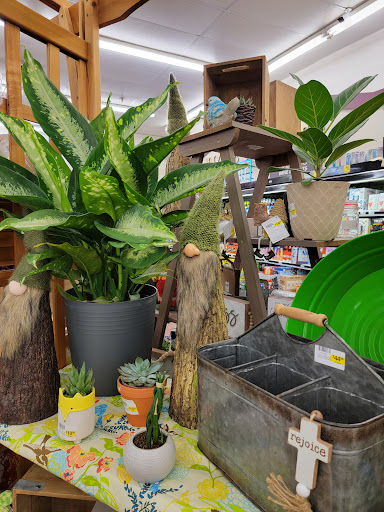 Shopping Mall «Parkway Shopping Center», reviews and photos, 1211 Porter Wagoner Blvd, West Plains, MO 65775, USA