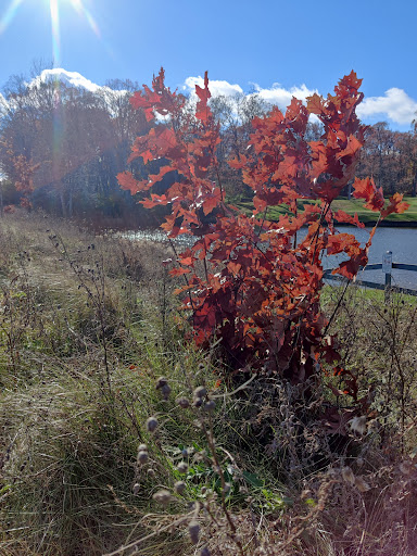 Golf Course «​​​​​Leslie Park Golf Course», reviews and photos, 2120 Traver Rd, Ann Arbor, MI 48105, USA