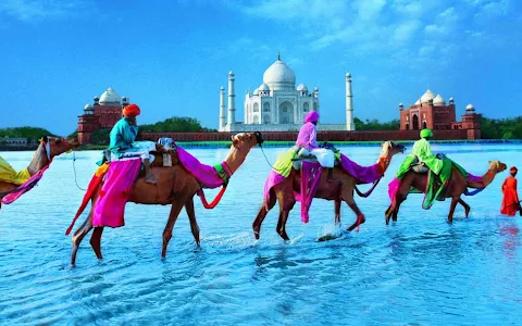 Amazing India Tours image