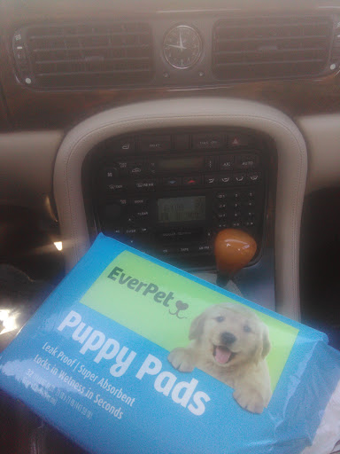 Discount Store «Dollar General», reviews and photos, 2705 Clovis Rd, Lubbock, TX 79415, USA