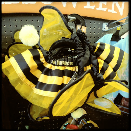 Pet Supply Store «Petco Animal Supplies», reviews and photos, 2450 Monarch Dr #105, Laredo, TX 78045, USA