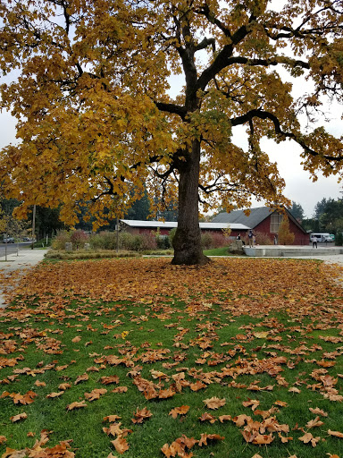 Park «Khunamokwst Park», reviews and photos, 5200 NE Alberta St, Portland, OR 97218, USA