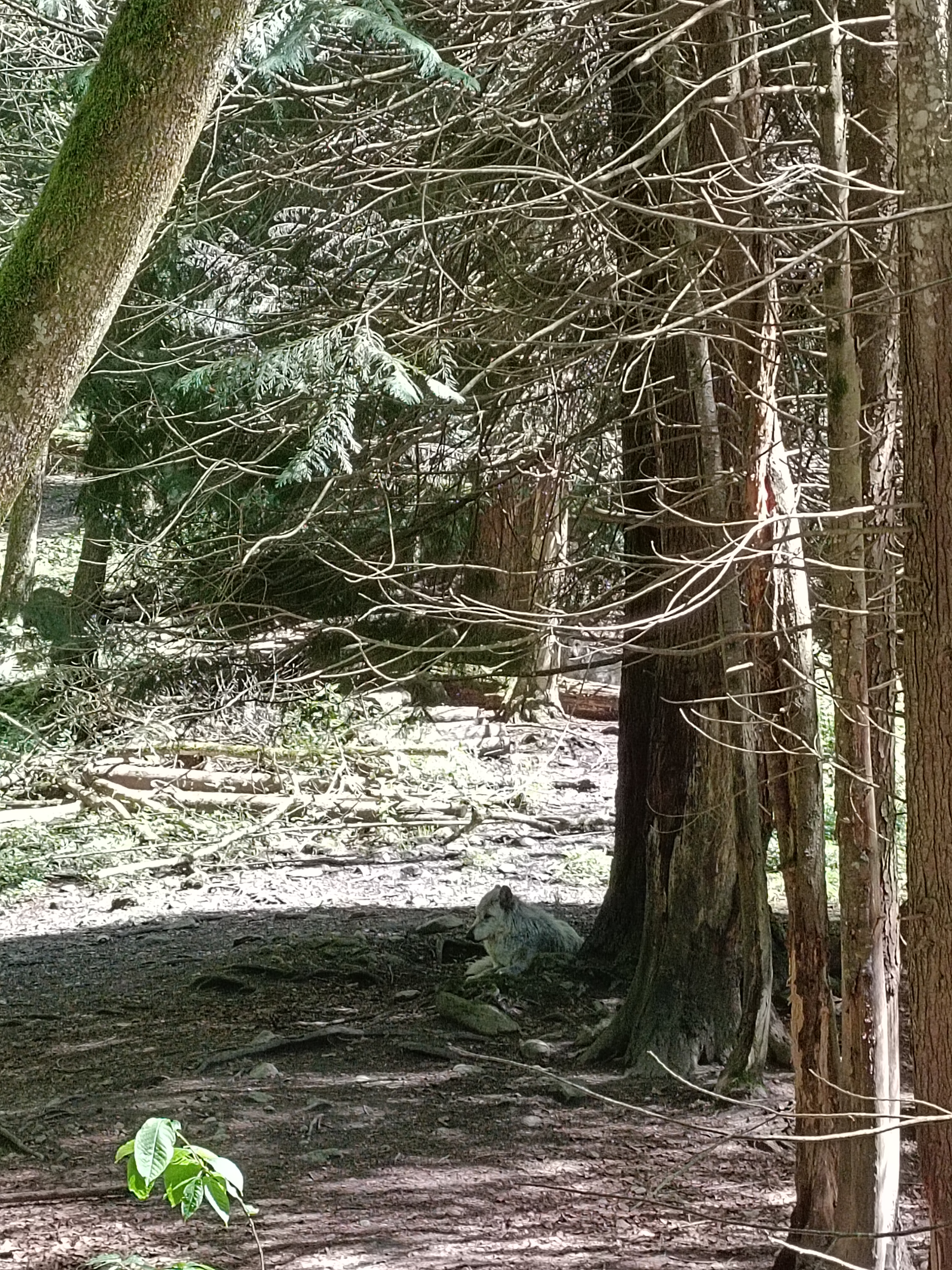 Photo n° 2 de l'avis de Leandre.e fait le 04/05/2023 à 06:51