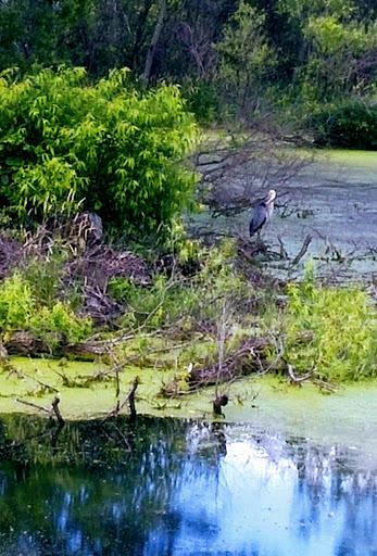 Golf Course «Island Lake Golf and Training Center», reviews and photos, 1000 Red Fox Rd, Shoreview, MN 55126, USA