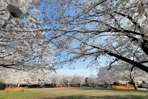Katsusehara Memorial Park image