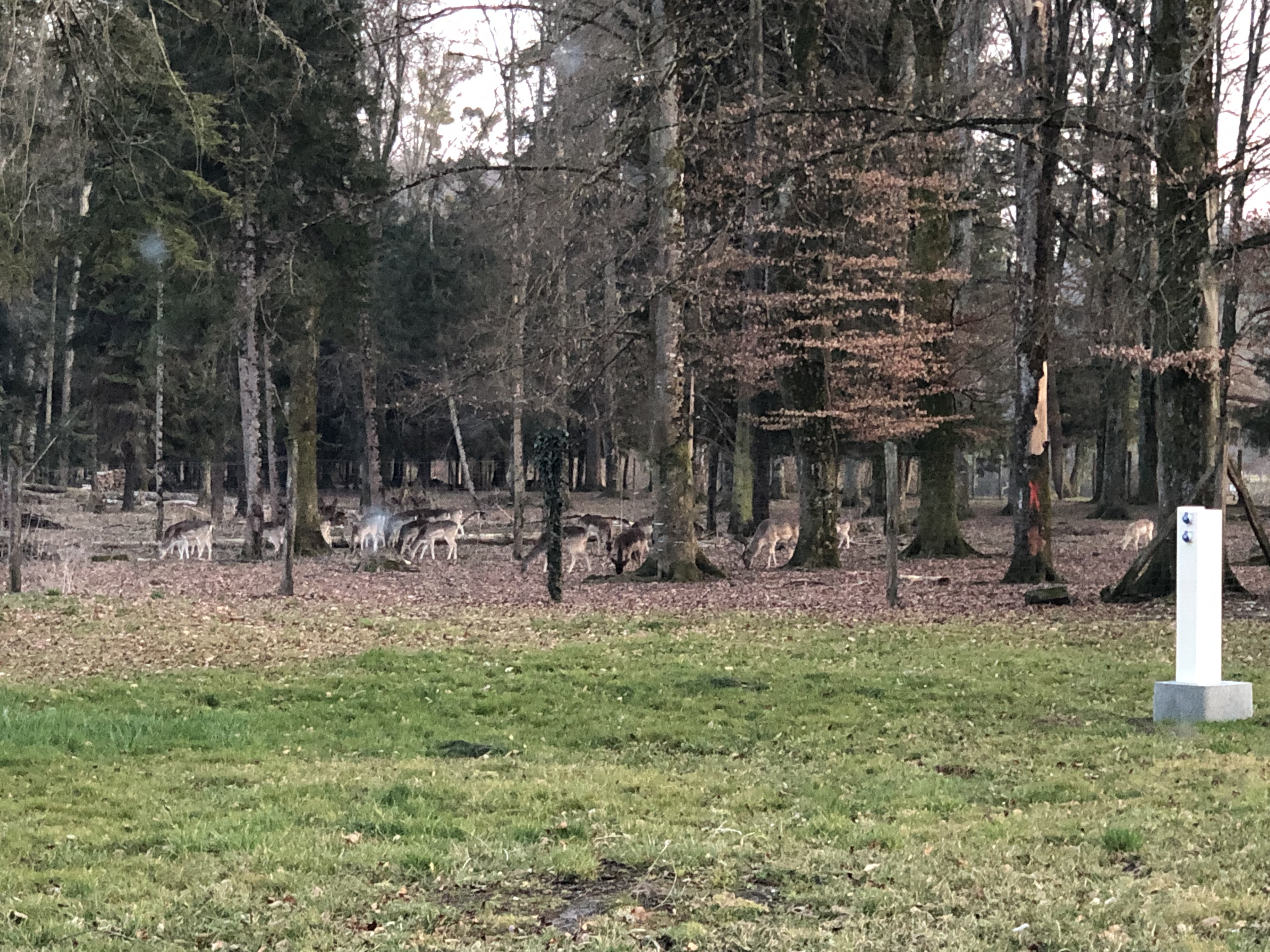 Photo n° 8 de l'avis de Emmanuelle.o fait le 13/03/2022 à 16:28