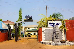 Godfrey Okoye University image