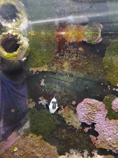 Tropical Fish Store «Marine Oasis», reviews and photos, 5340 W Ridge Rd, Spencerport, NY 14559, USA