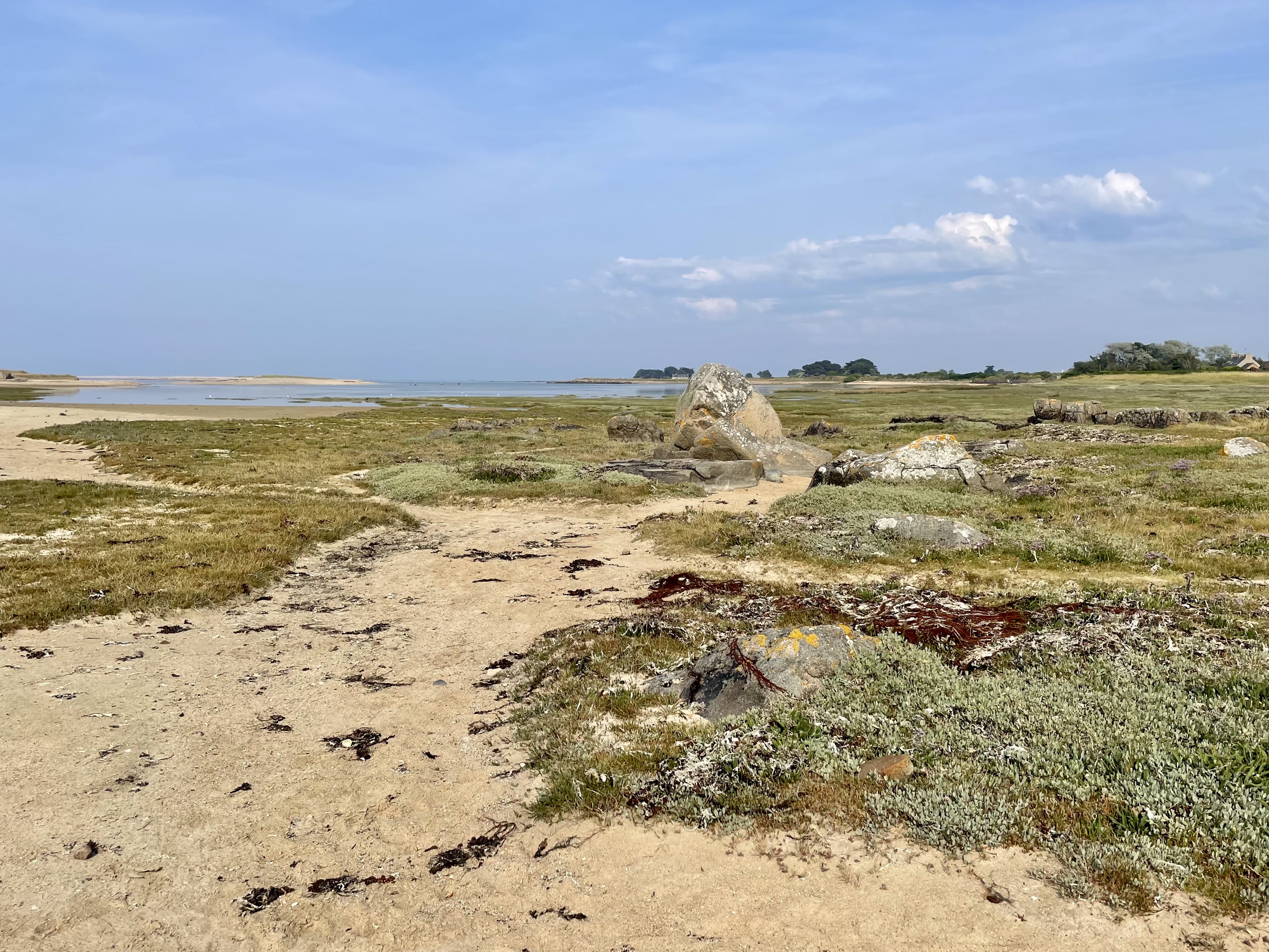 Photo n° 2 de l'avis de Geertje.n fait le 21/06/2023 à 09:10