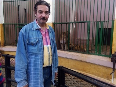Dahab