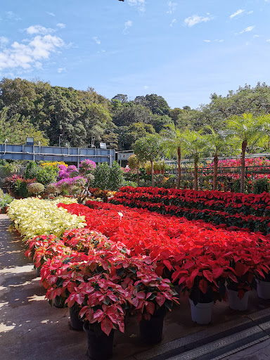 Tung Wai Garden Horticulture Co. Ltd.