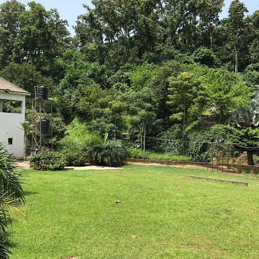 Sarius Palmetum, 3259 Ibrahim Babangida Blvd, Maitama, Abuja, Nigeria, Landscaper, state Nasarawa