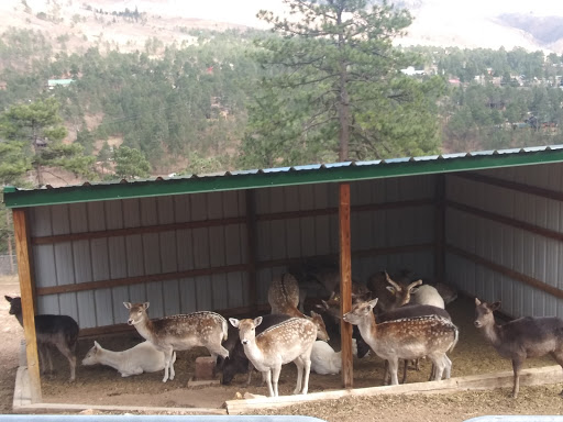 Amusement Park «North Pole Colorado Santa’s Workshop», reviews and photos, 5050 Pikes Peak Hwy, Cascade, CO 80809, USA