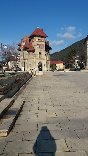 Str. Ștefan cel Mare 4, Piatra Neamț 610121, România