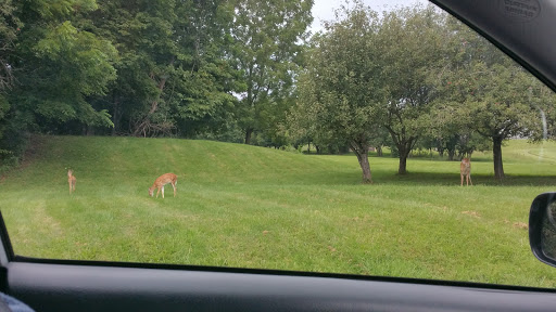 Golf Course «Blackwood Golf Course», reviews and photos, 510 Red Corner Rd, Douglassville, PA 19518, USA