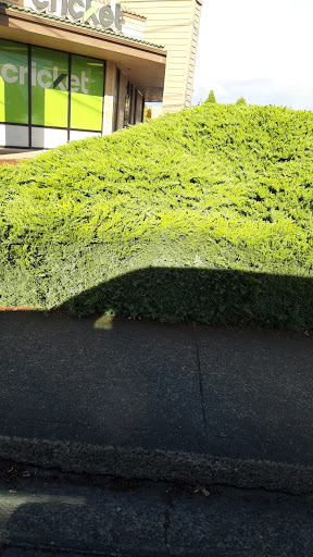 Sporting Goods Store «Big 5 Sporting Goods», reviews and photos, 116 SW Coast Hwy, Newport, OR 97365, USA