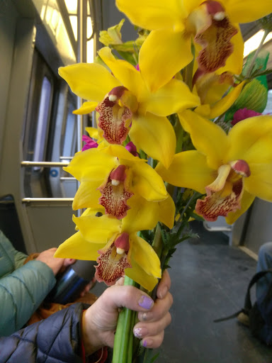 State Park «Constitution Beach», reviews and photos, 799 Bennington St, Boston, MA 02128, USA