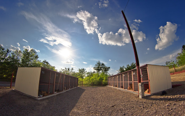 Befogad-Lak Hevesi Állatmenhely Alapítvány - Állatorvos