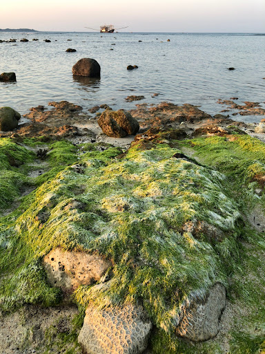 Top 20 cửa hàng akemi Huyện Lý Sơn Quảng Ngãi 2022