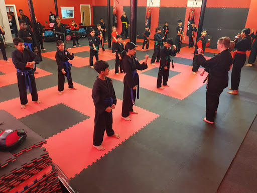 Daniyaal's Martial Arts Academy