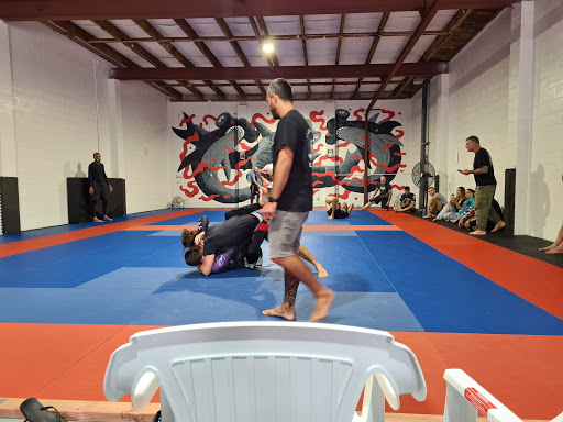 Auckland BJJ