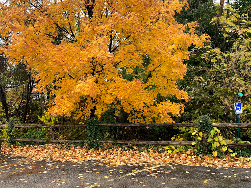 Hobby Store «Oakridge Hobbies», reviews and photos, 15800 New Ave, Lemont, IL 60439, USA