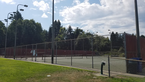 Meadowbrook Park Tennis Courts (6)