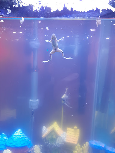 Pet Supply Store «PetSmart», reviews and photos, 157 Levittown Pkwy B, Levittown, PA 19055, USA