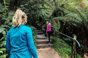 Kokoda Track Memorial Walk image