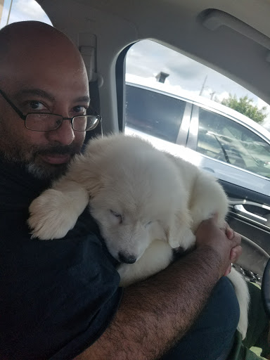 Pet Supply Store «PetSmart», reviews and photos, 1451 Dallas Hwy, Waxahachie, TX 75165, USA