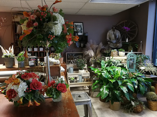 Florist «Galleria Florist», reviews and photos, 7187 Lee Hwy, Falls Church, VA 22046, USA