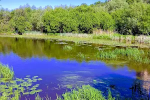 Park U R. Skhodni V Putilkovo image