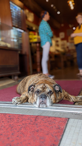 Boutique «Saratoga Saddlery», reviews and photos, 506 Broadway, Saratoga Springs, NY 12866, USA