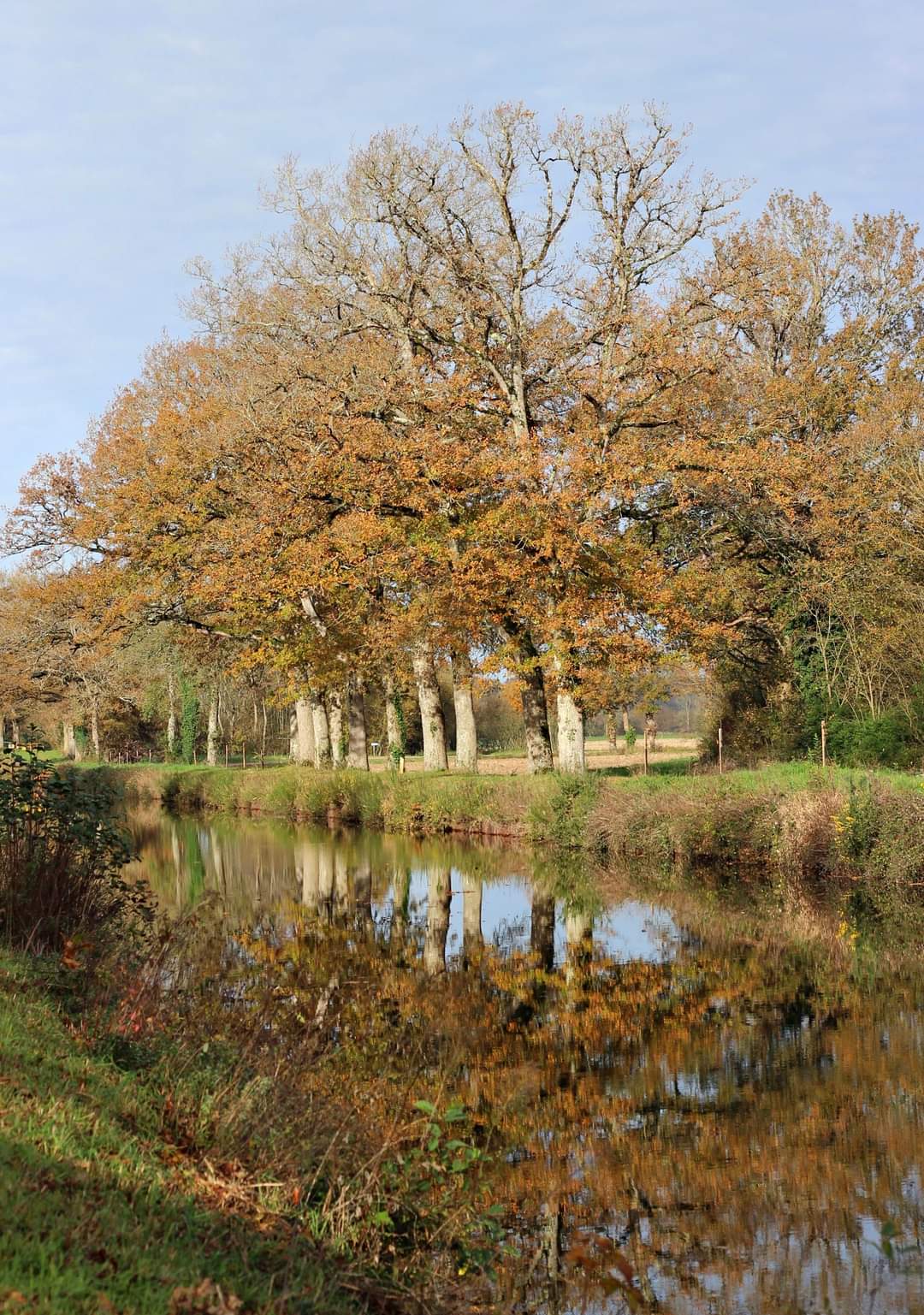 Photo n° 25 de l'avis de Mathias.e fait le 09/09/2023 à 17:27