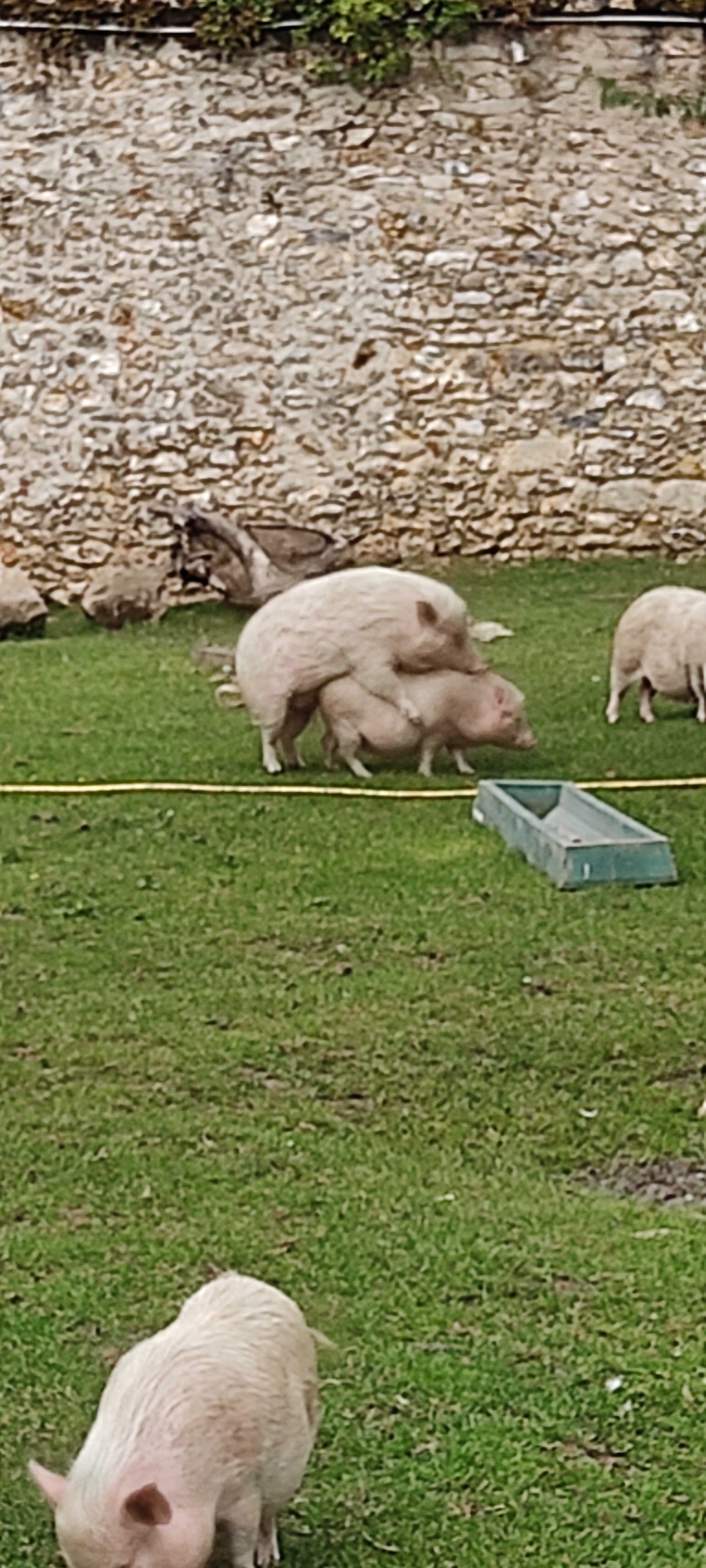 Photo n° 6 de l'avis de Thomas.O fait le 26/05/2022 à 14:48