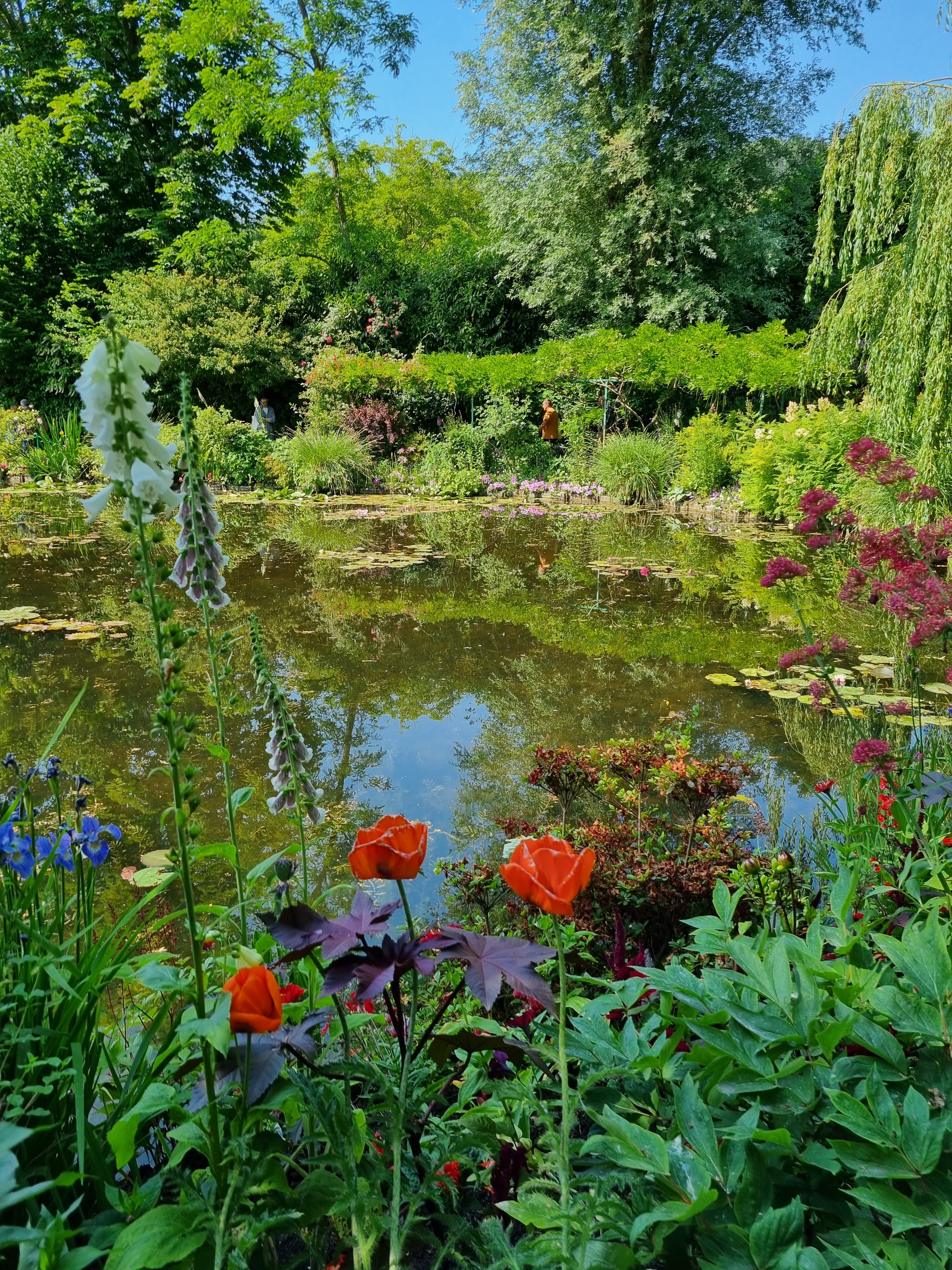 Photo n° 8 de l'avis de Sabine.o fait le 13/06/2023 à 19:16