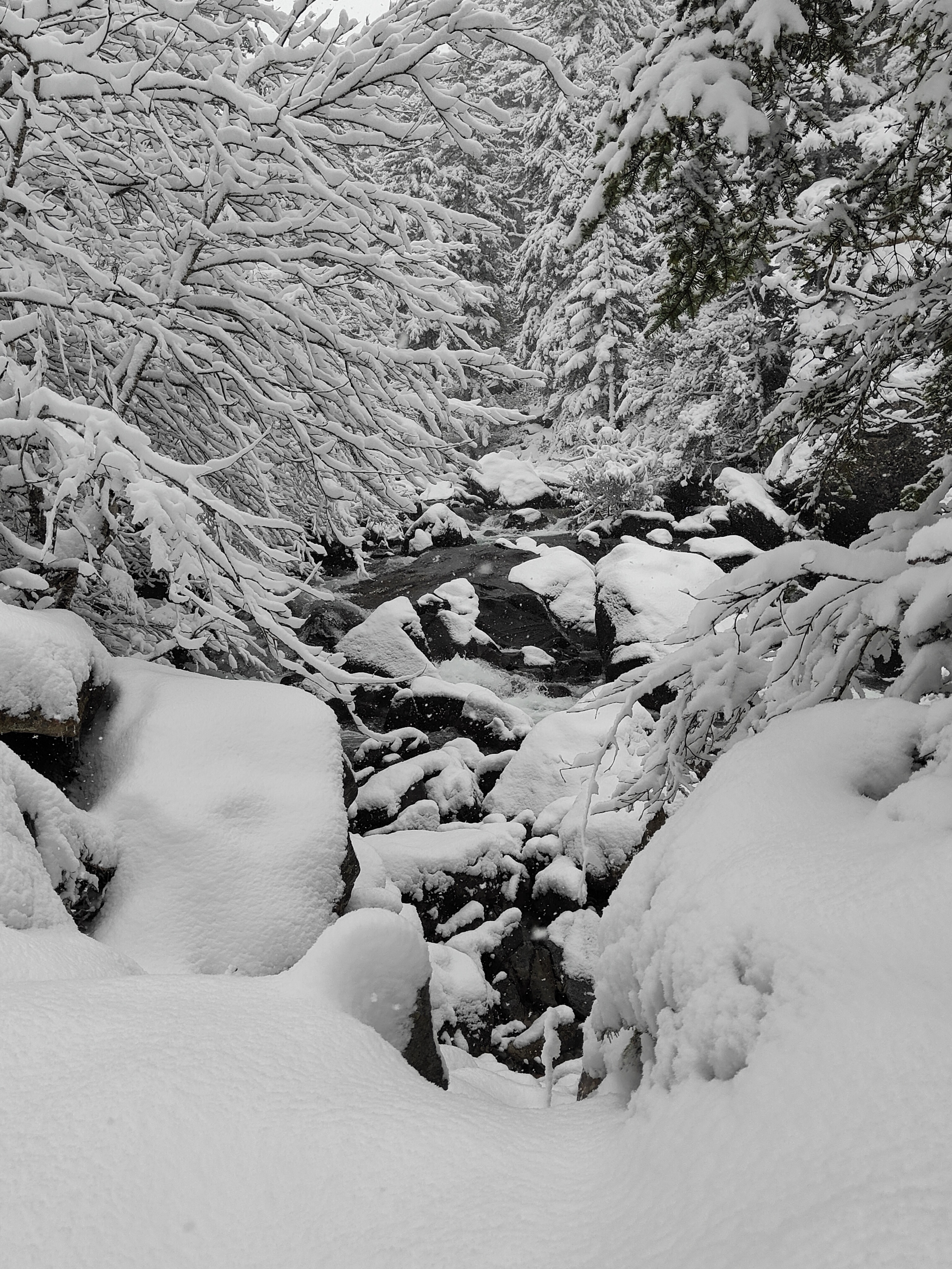 Photo n° 1 de l'avis de christian.e fait le 05/01/2024 à 16:32