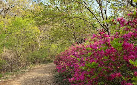 수리산산림욕장 image